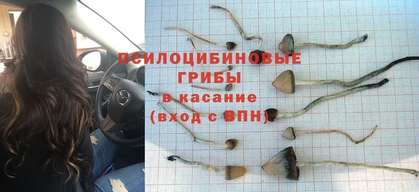 спайс Аркадак