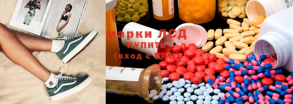 спайс Аркадак